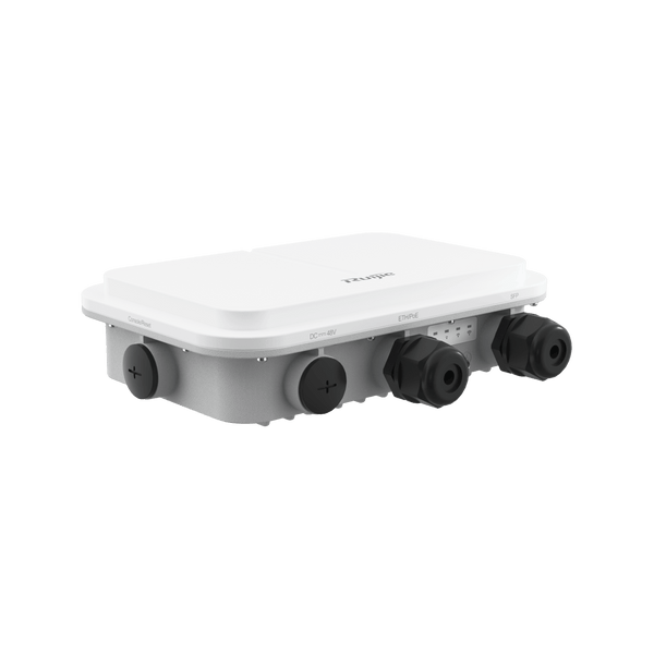 Ruijie Outdoor Wireless AP