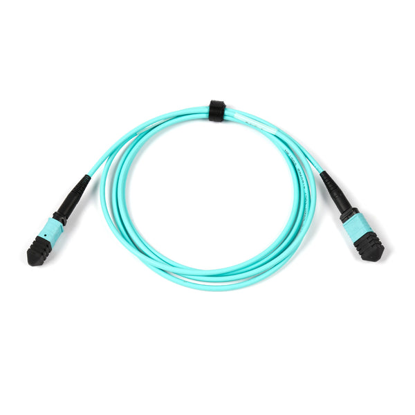 MPO Jumper Cables, MPO-12 UPC (Female) to MPO-12 UPC (Female), 12 Fibers, Multimode (OM3), OFNR, Low Loss, Polarity Type B